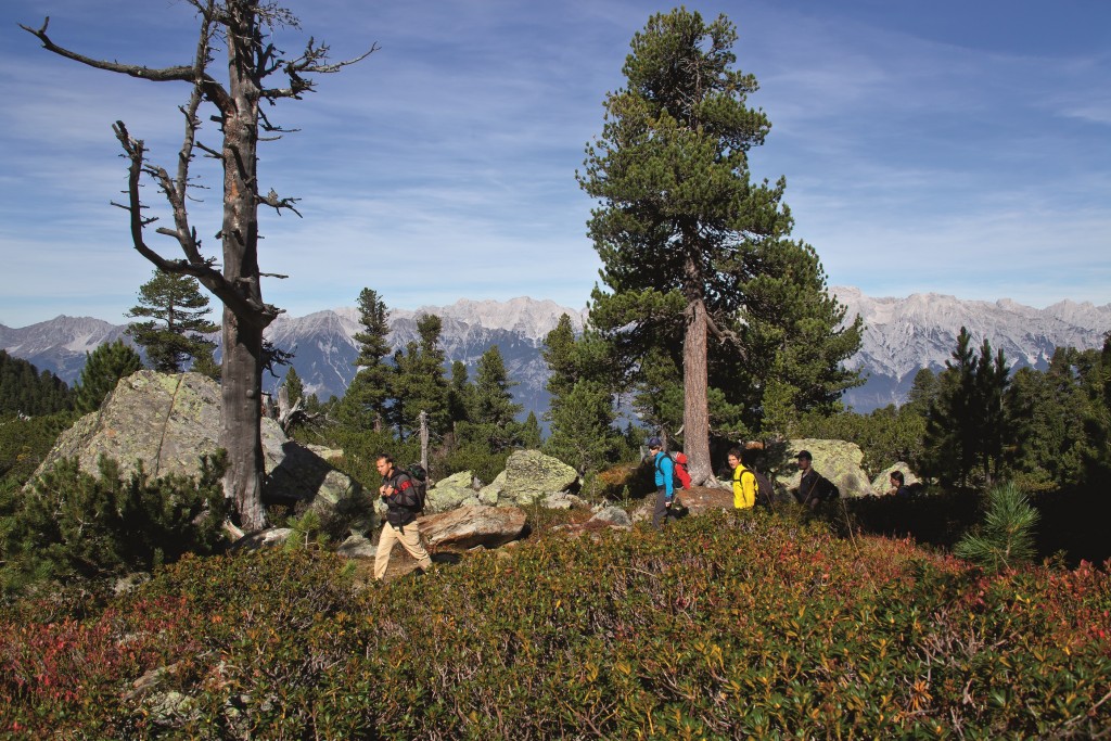 Hiking along the Stone Pine Trail above Innsbruck