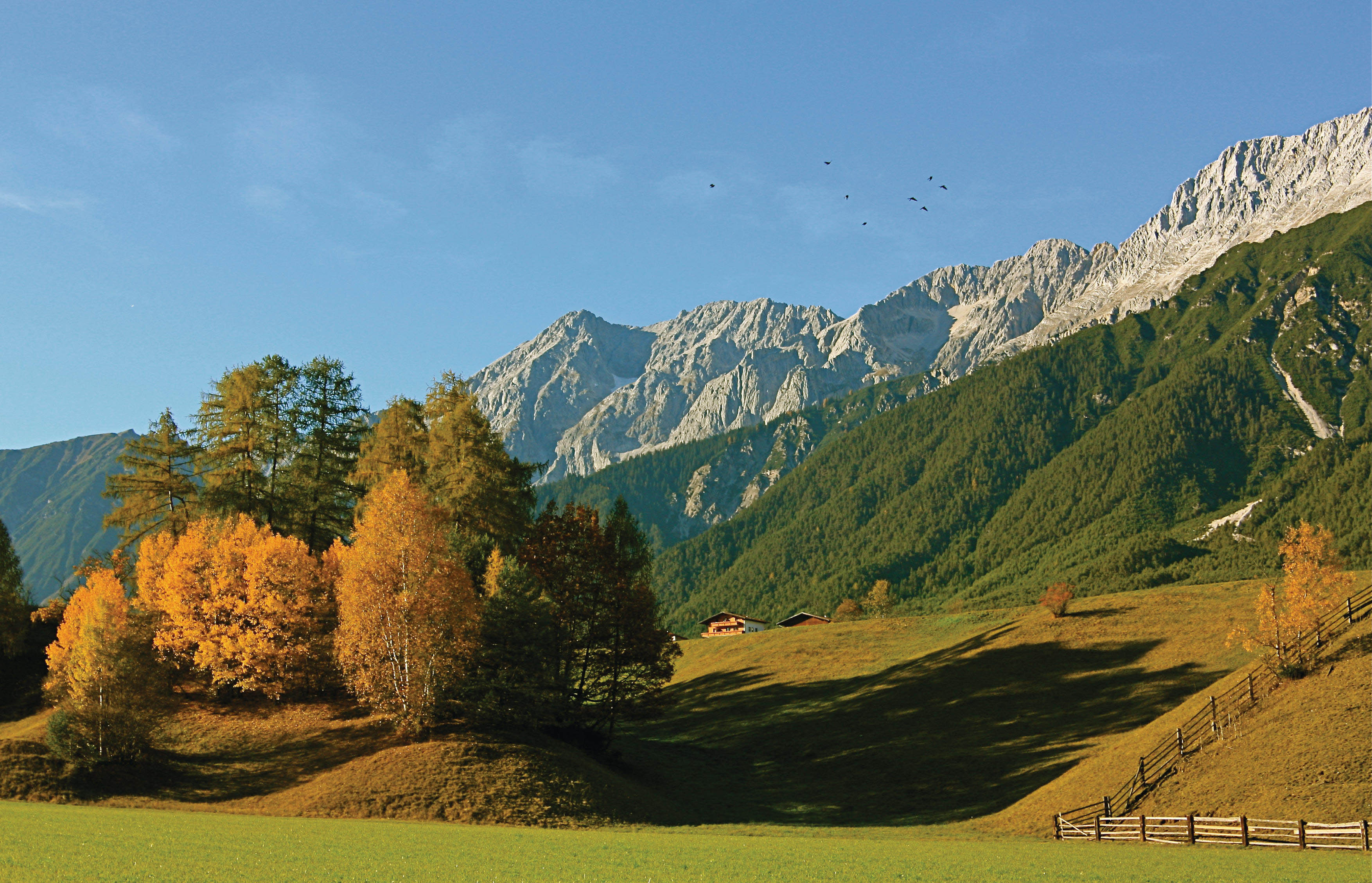 HERBST MIEMINGER PLATEAU © Innsbruck Tourismus  Helmut Wagner